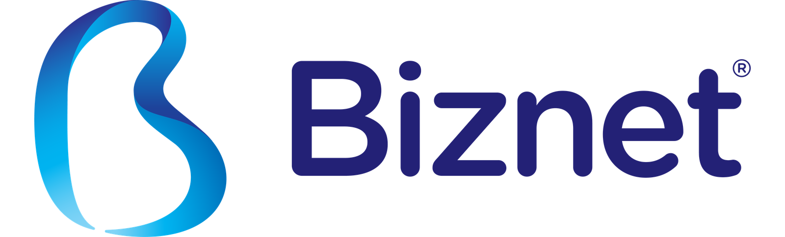 Bisnet